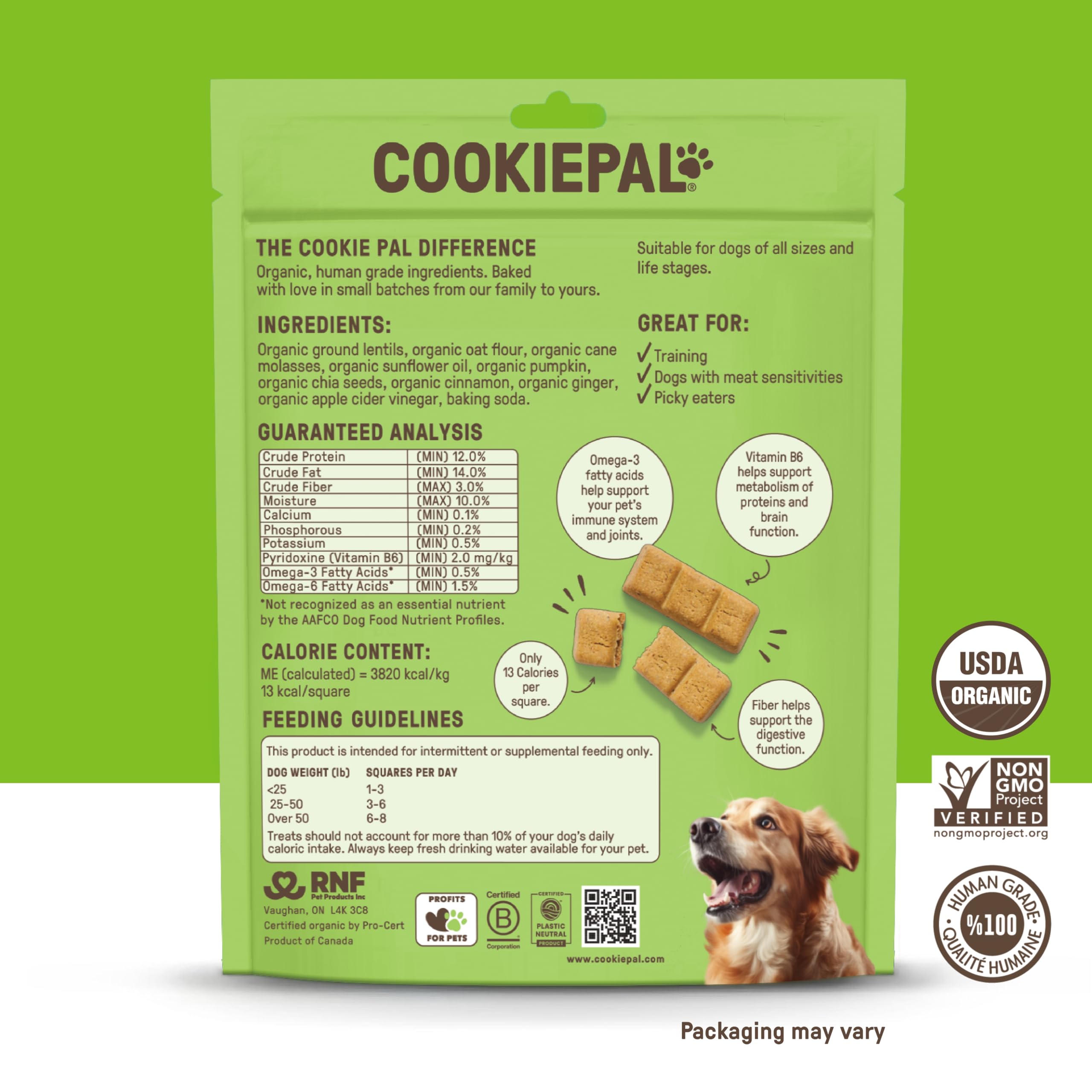 CookiePal pumpkin treats chia close-up showing crunchy texture for training