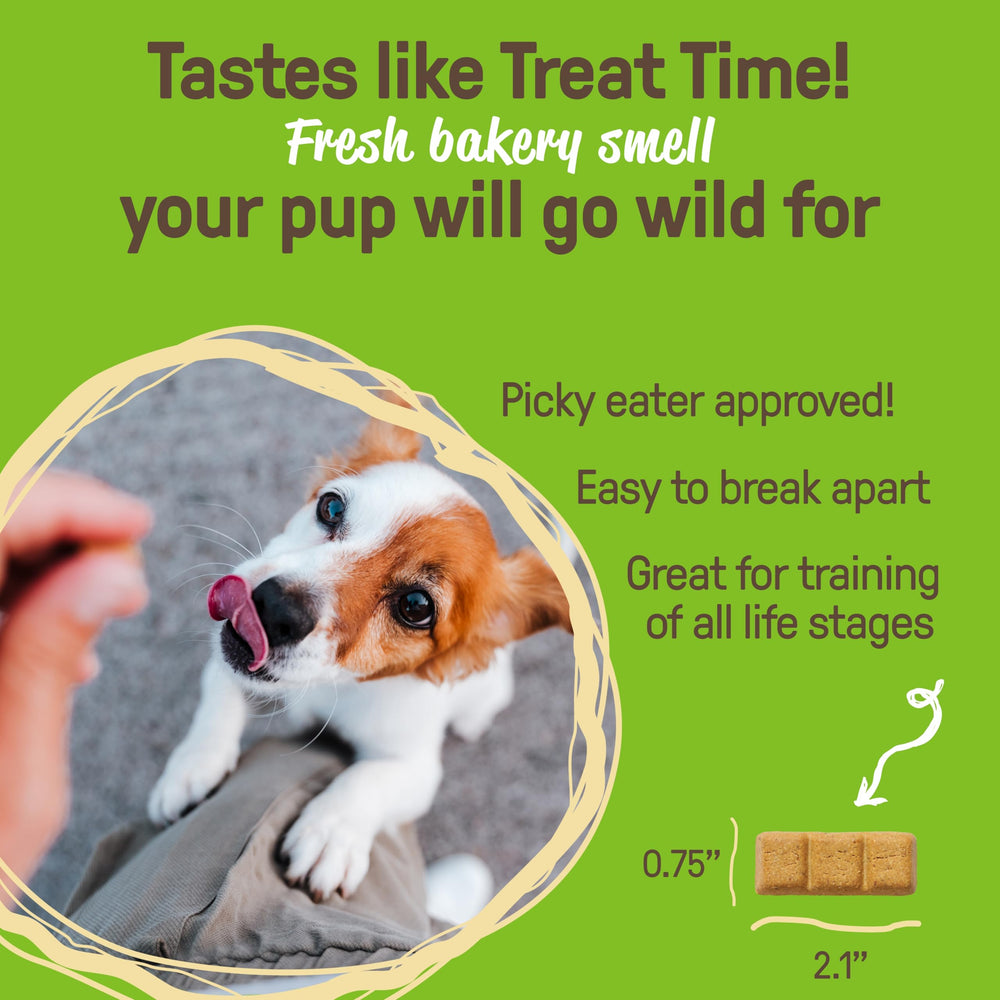 CookiePal puppy training snacks in hand illustrating easy to break portions