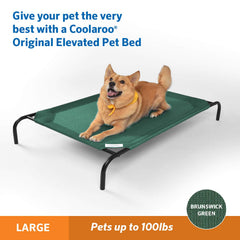 Coolaroo dog bed elevated frame supports easy movement for dogs