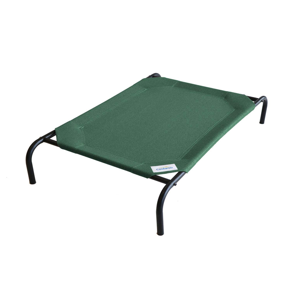 Coolaroo dog bed outdoor Brunswick Green ready for patio lounging