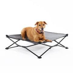 Coolaroo On-The-Go elevated dog bed with foldable pop-up design for effortless setup outdoors.
