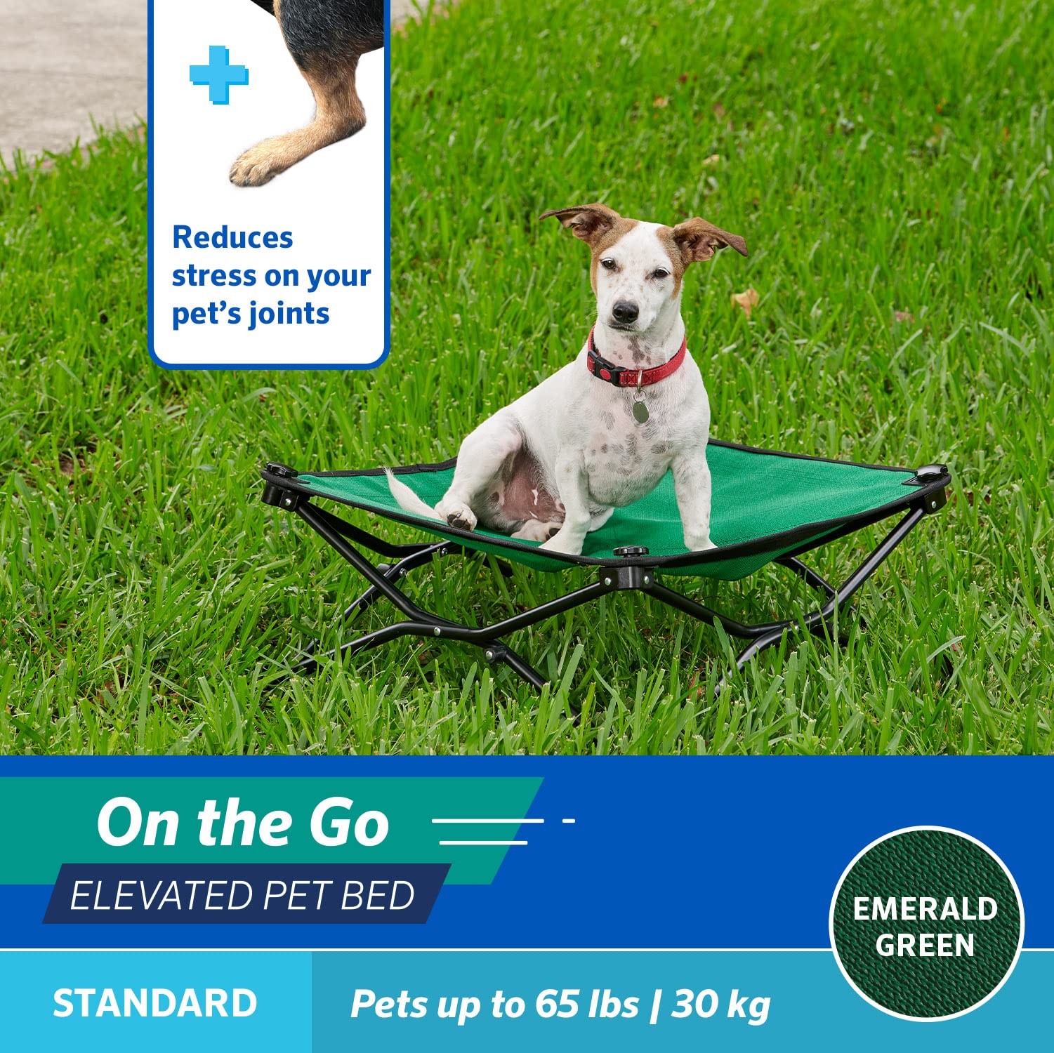 Coolaroo On-The-Go elevated dog bed in pop-up setup for easy transport.