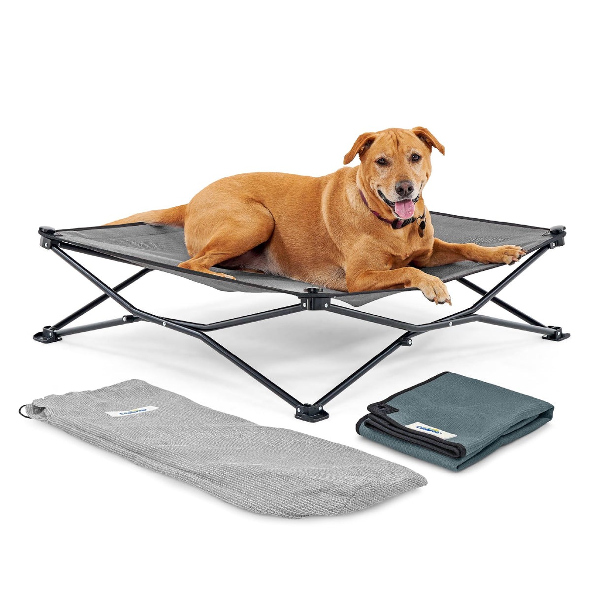 Coolaroo On-The-Go elevated dog bed ready for outdoor use with cooling comfort.