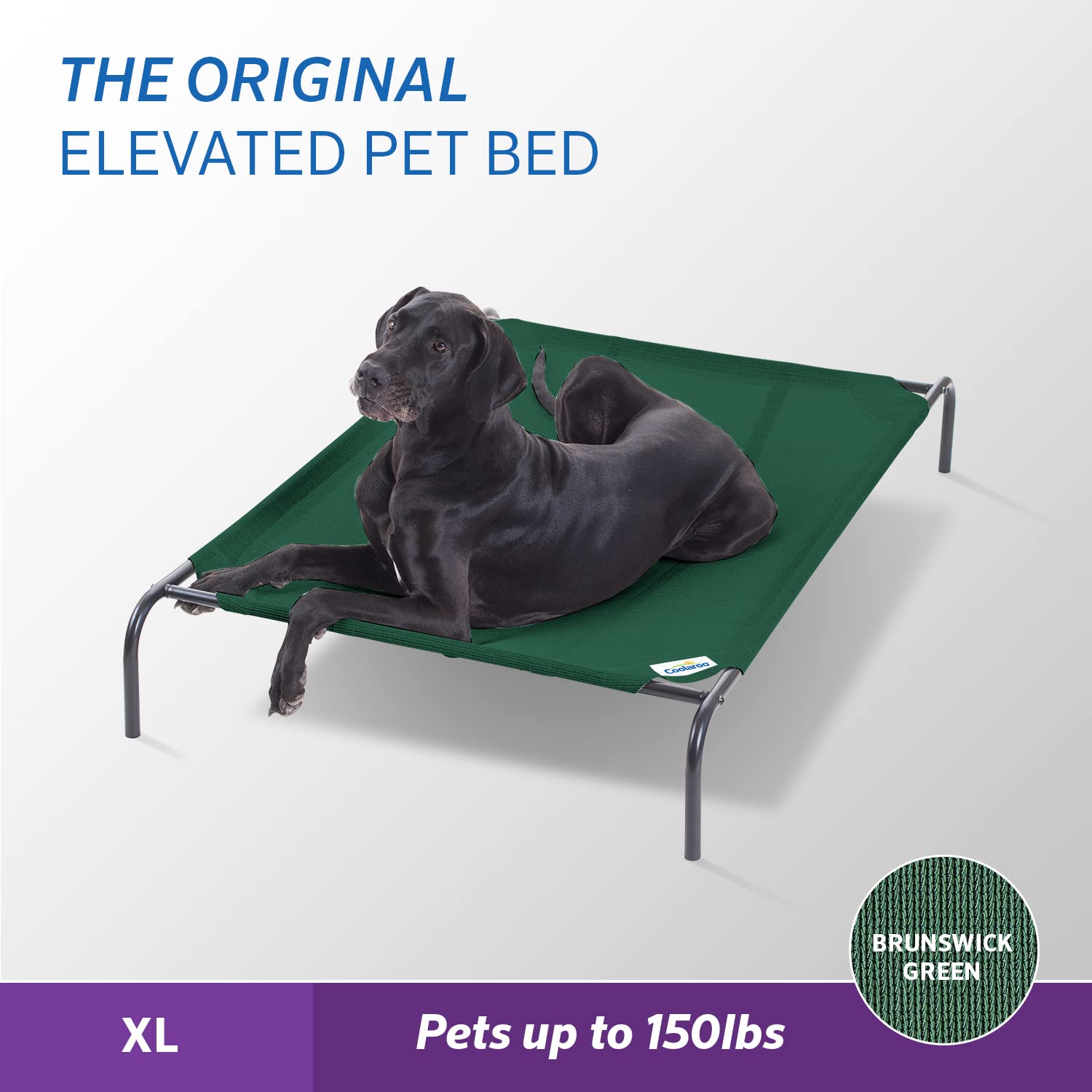 Coolaroo Original Elevated Dog Bed showing 360-degree airflow for cooling