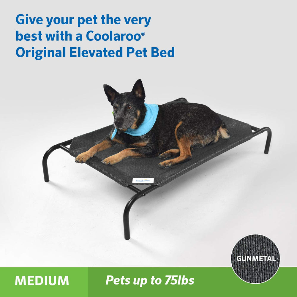 Elevated design promoting airflow to keep pets comfortable.