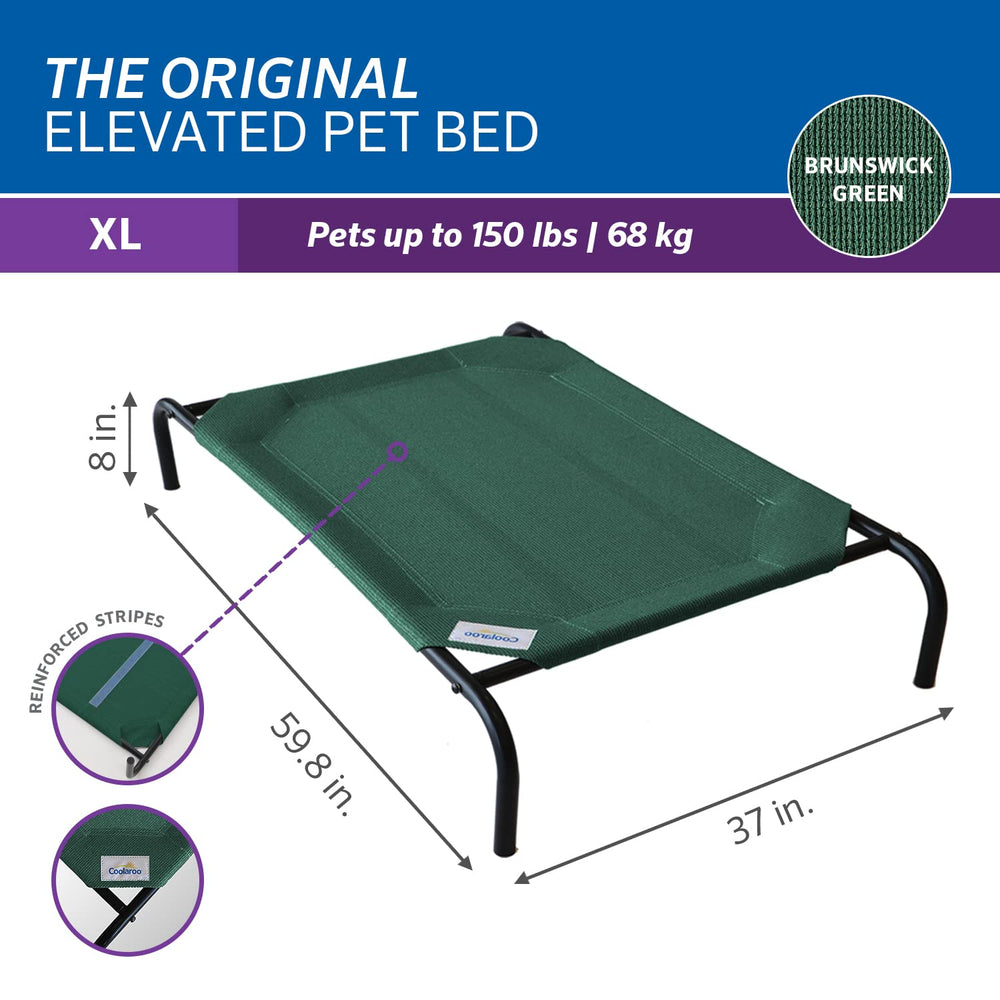 Coolaroo Original Elevated Dog Bed used indoors or outdoors for versatile placement