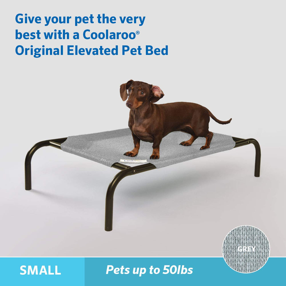 Coolaroo elevated bed showing off-the-ground support reduces joint stress.