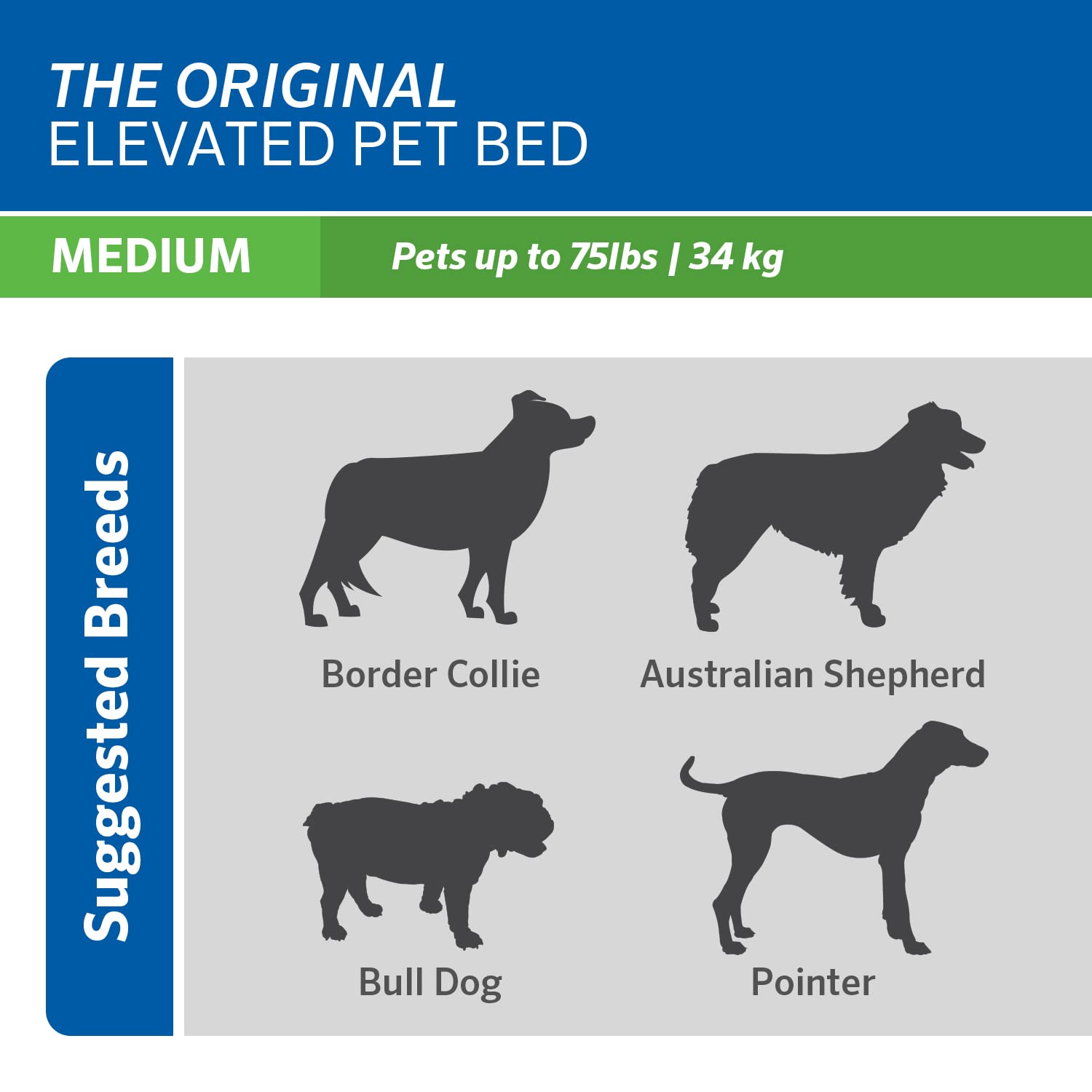 Coolaroo Original Elevated Pet Bed Brunswick Green lightweight design for effortless indoor or outdoor relocation.