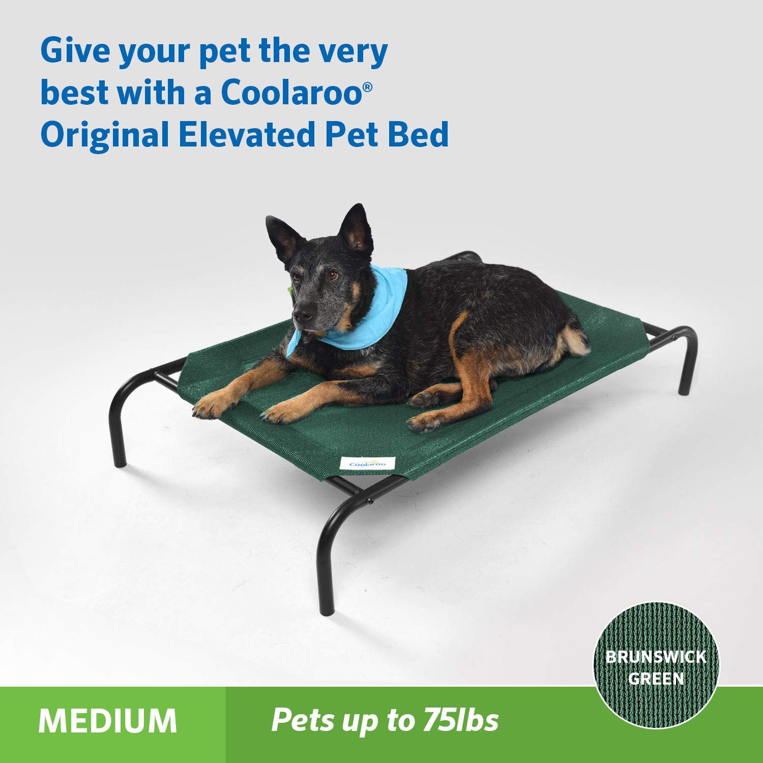 Coolaroo Original Elevated Pet Bed Brunswick Green, side profile highlights off-ground support.