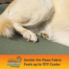Coolaroo Pro elevated bed shows 360° airflow for relaxed resting in sun spots