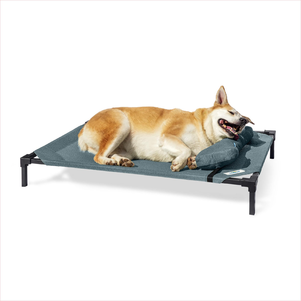Coolaroo Pro elevated bed with HeatShield fabric cools pets on hot days