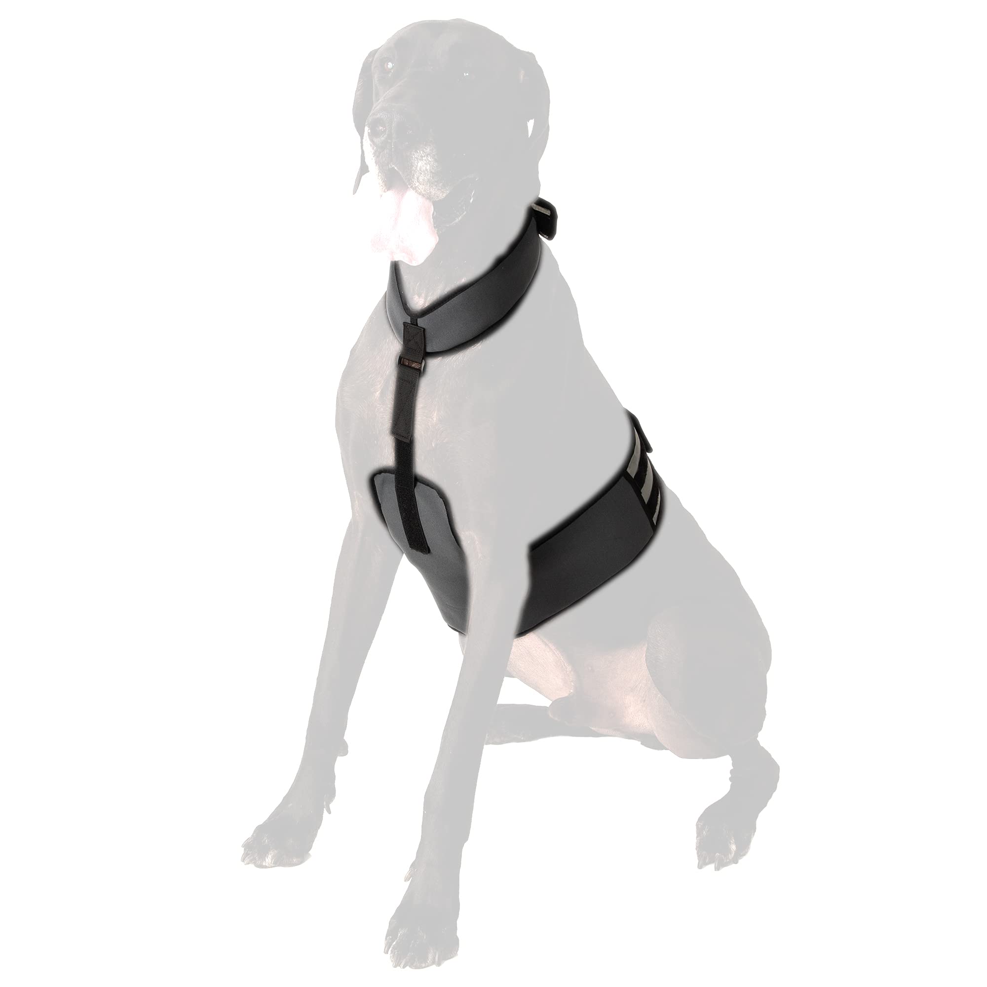CoolerDog cooling vest back view provides full-body coverage for hot-weather activity.