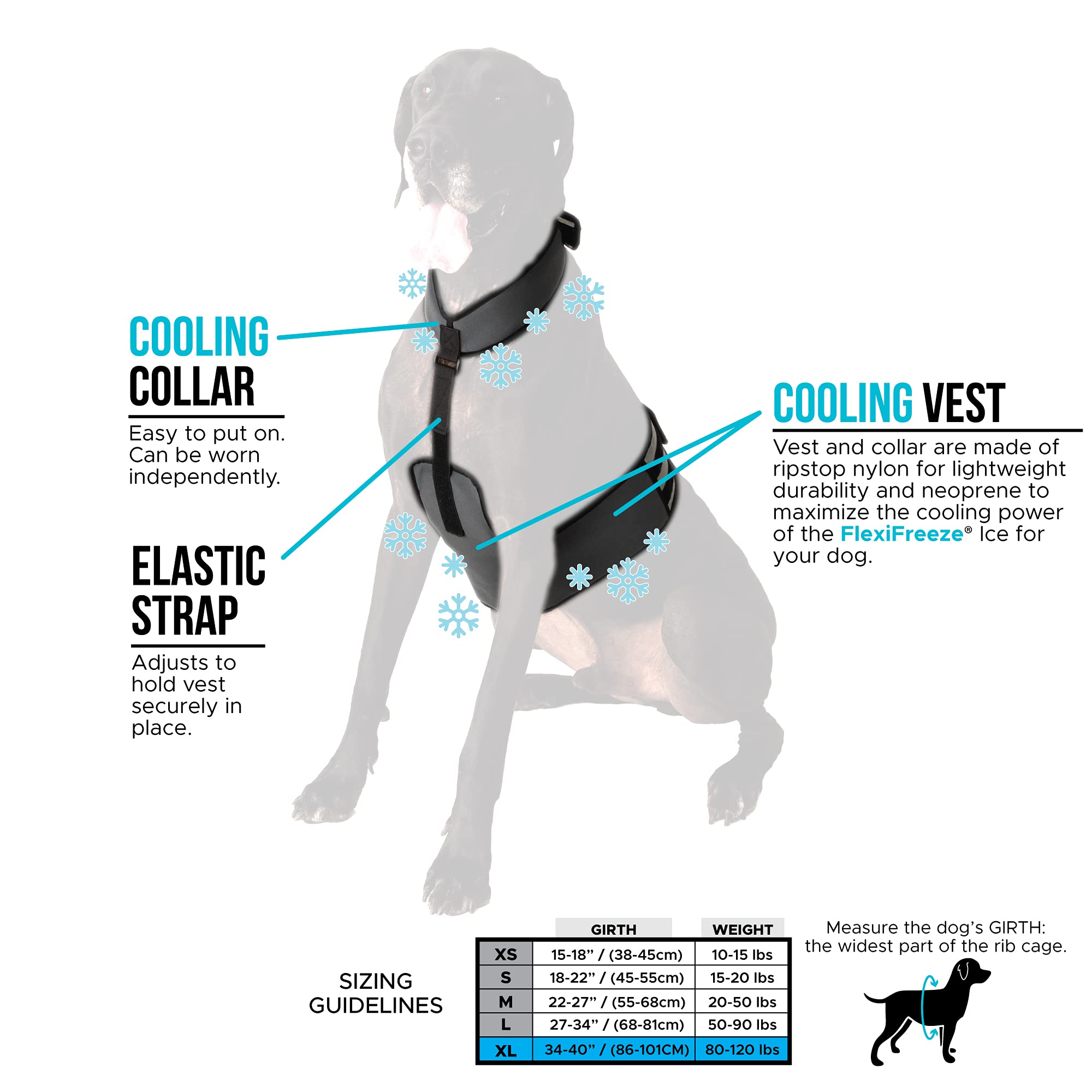 CoolerDog dog walking outdoors in heat showcases practical heat relief.