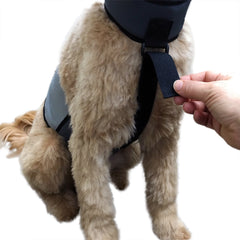 CoolerDog FlexiFreeze inserts ready in pure-water packs for cooling.