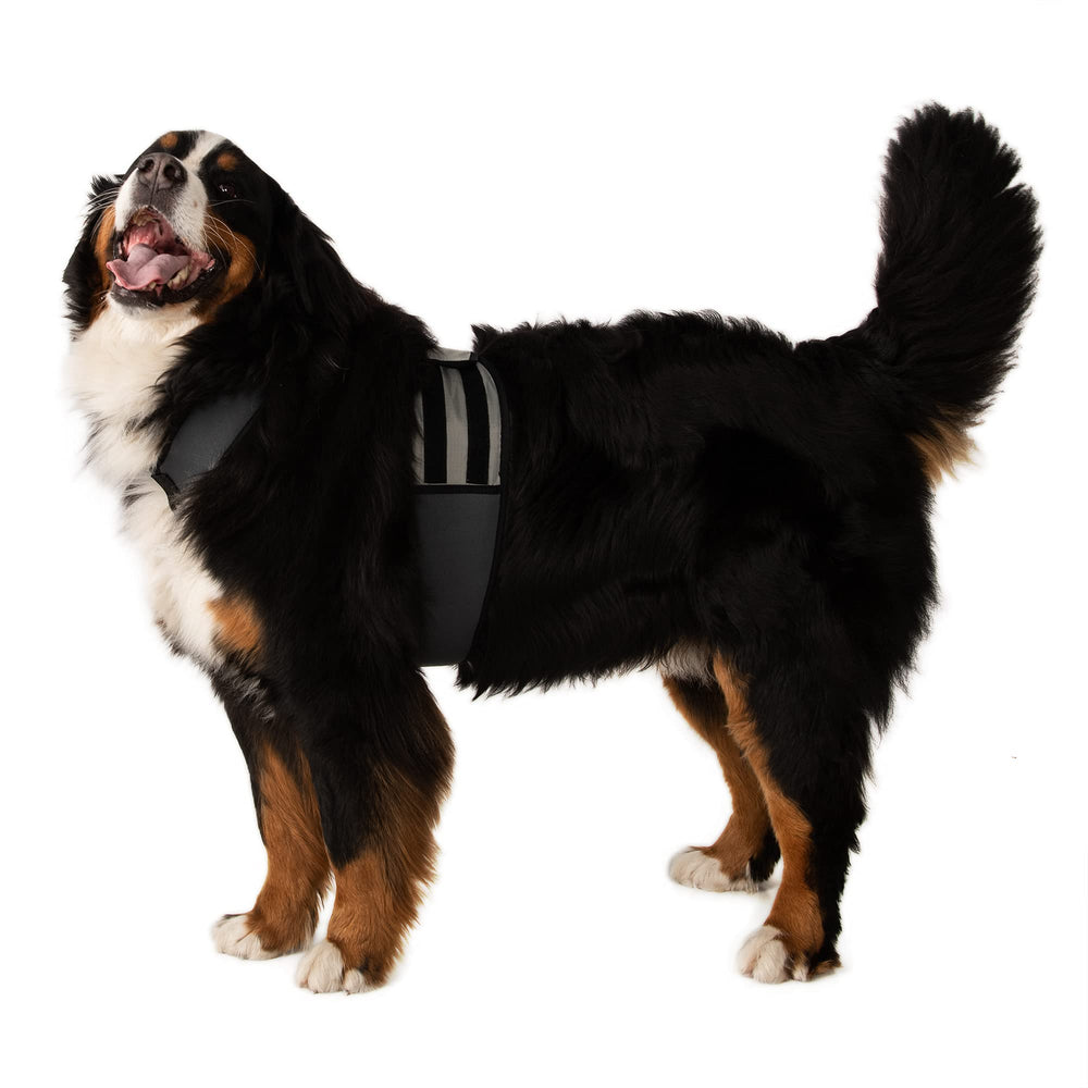 CoolerDog FlexiFreeze inserts pack demonstrates reusable ice cooling option.