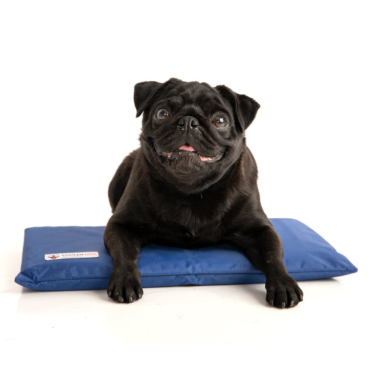 CoolerDog Hydro Cooling Mini Mat cover shown for crate cooling.