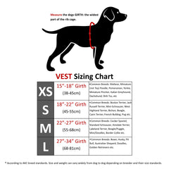 CoolerDog large vest fits dogs with 27-34 inch girth.