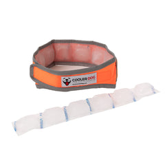 CoolerDog reflective trim enhances safety for dawn and dusk walks