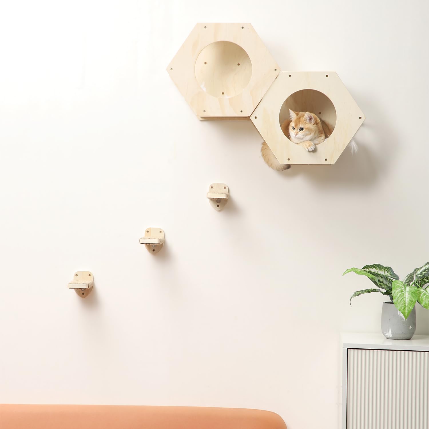 COOLEX assembled wall furniture ready for pets when mounted securely.