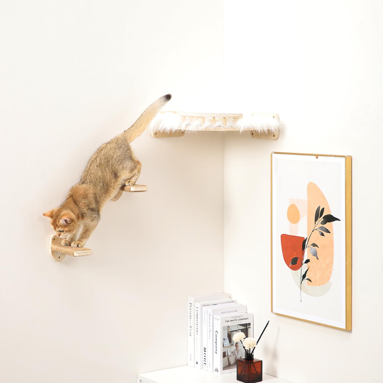COOLEX cat perch top view shows a cozy resting spot on the wall.