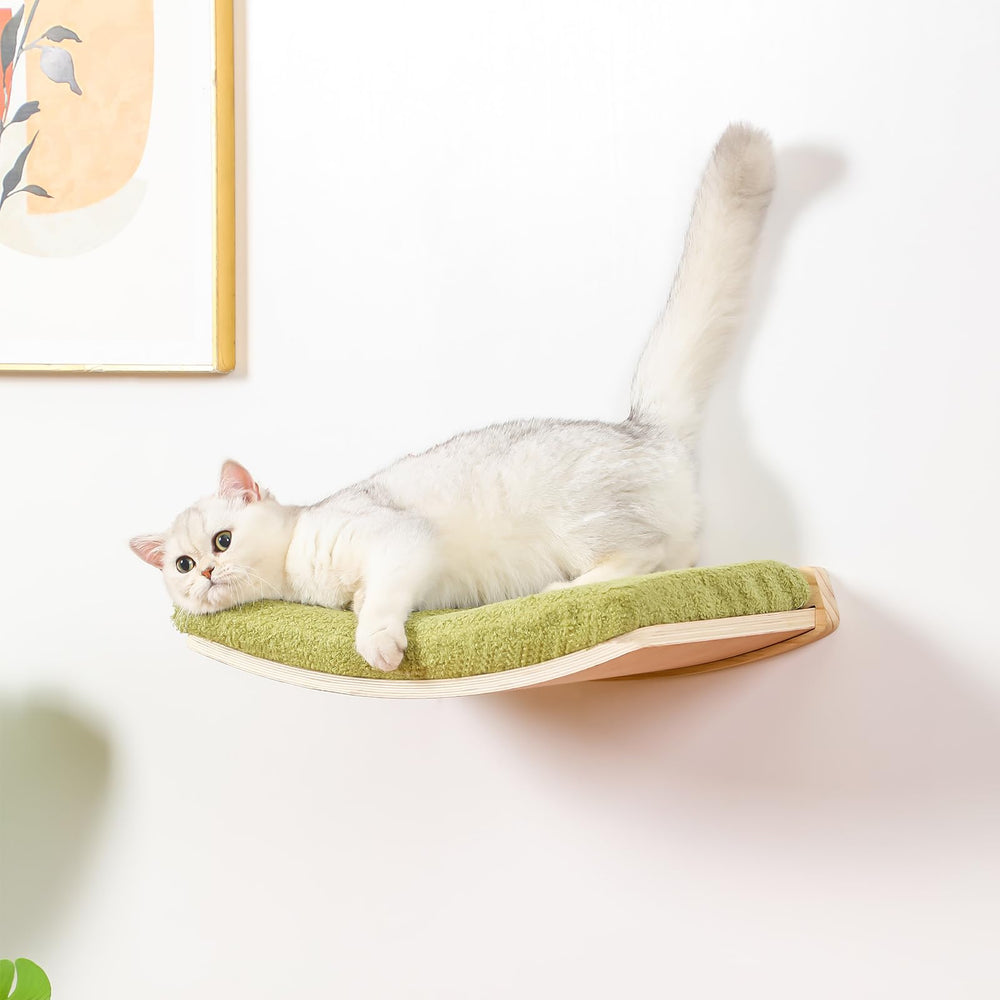 COOLEX floating cat wall bed with cushion ideal for elevated perching