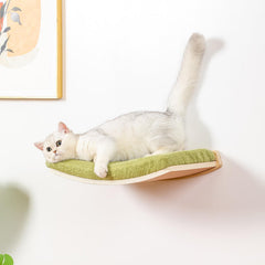 COOLEX floating cat wall bed with cushion ideal for elevated perching