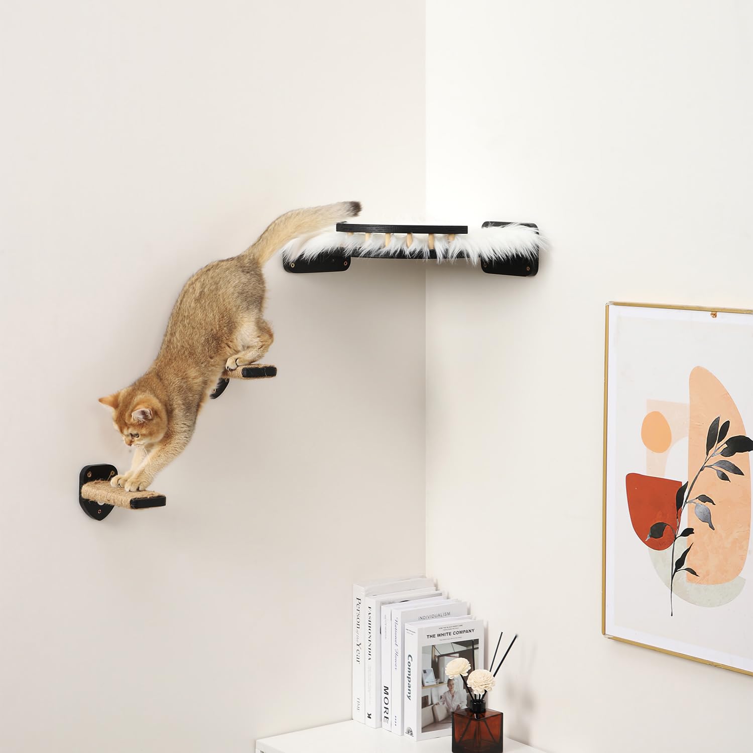 COOLEX heavy-duty-brackets-cat-shelf ensures stable wall attachment and long-lasting use.