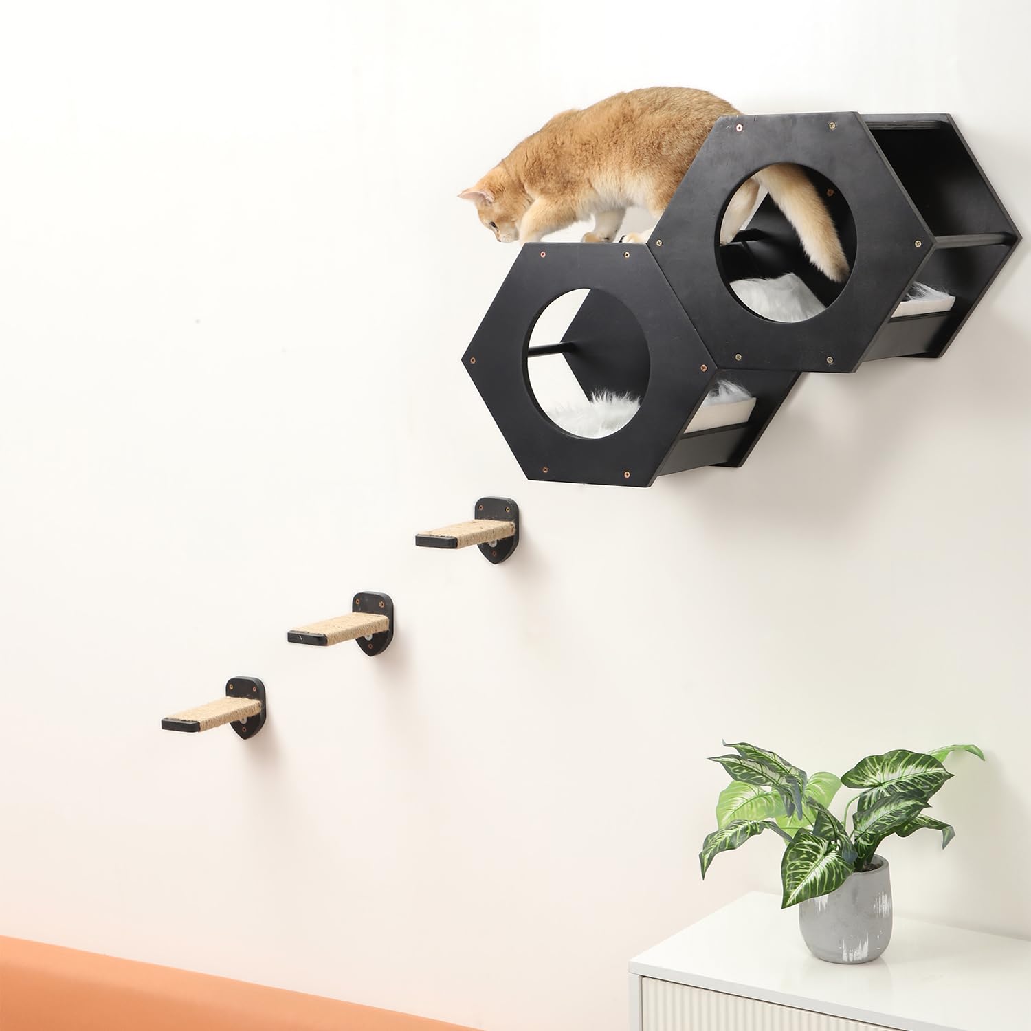 COOLEX preassembled-wall-ladder-cat-climber enables faster setup.