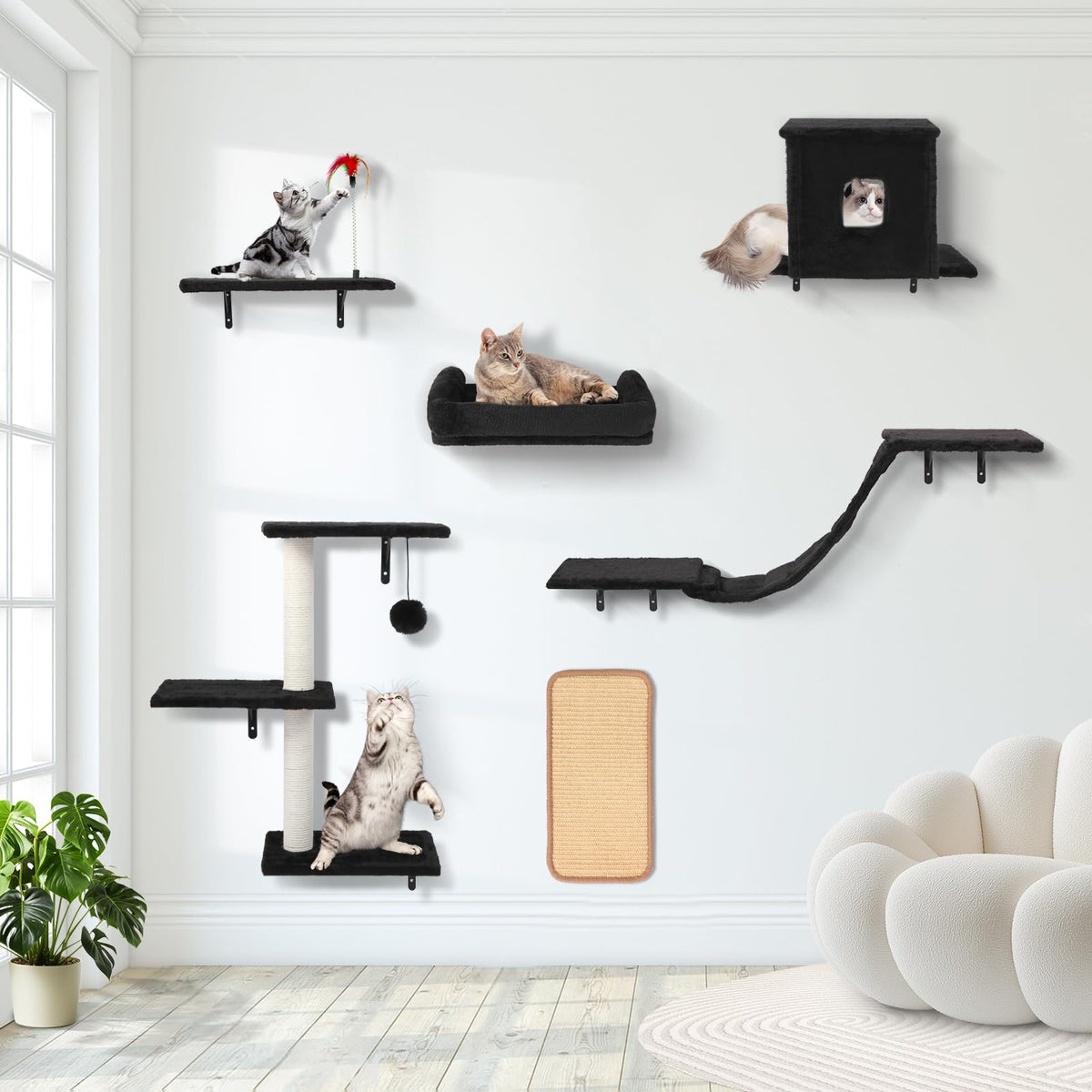 Coolsheepsia cat house wall shelf provides a cozy indoor retreat.