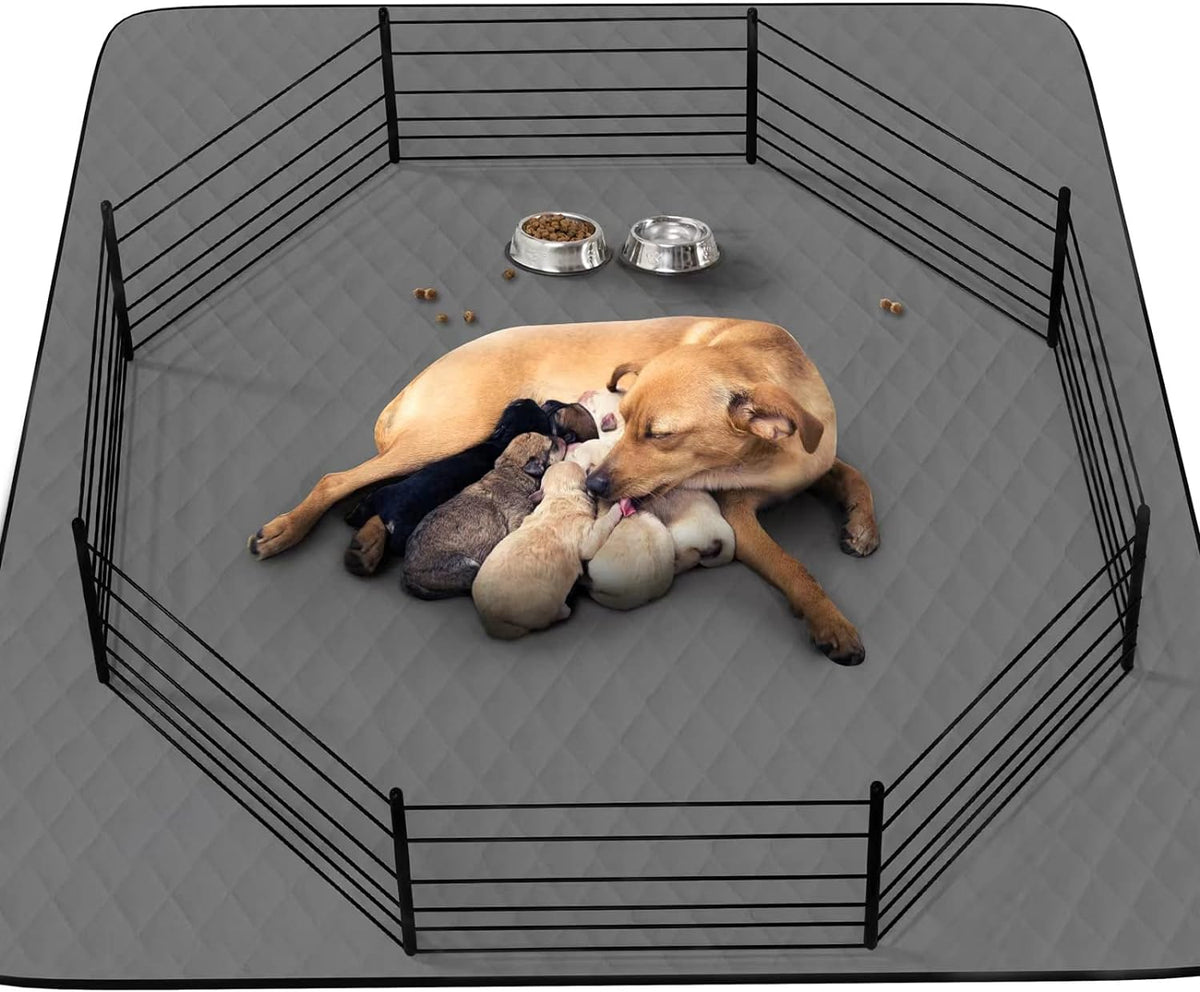 CoolShields dog pee pad top view shows large 34x52 coverage for potty training