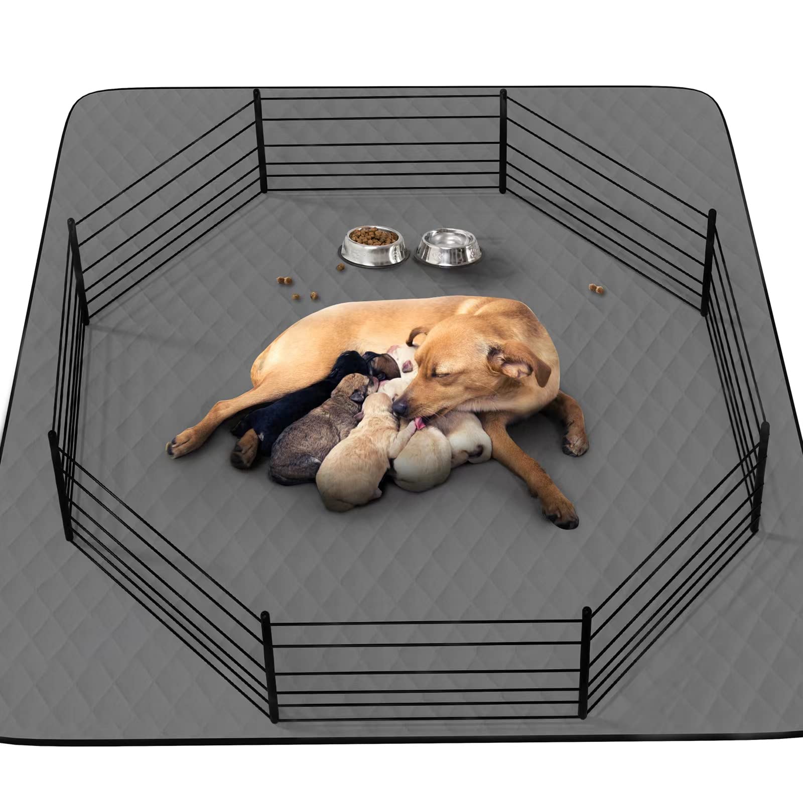 CoolShields washable dog pee pad 72x72 laid flat on floor protects carpets.