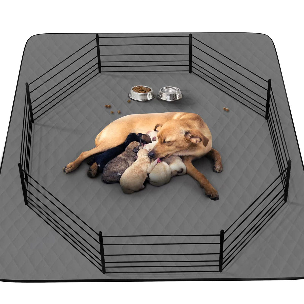 CoolShields washable dog pee pad 72x72 laid flat on floor protects carpets.