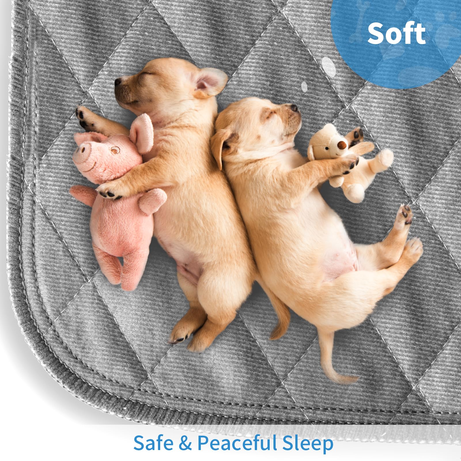 CoolShields wide coverage pad in crate shows safer, comfortable space for puppies