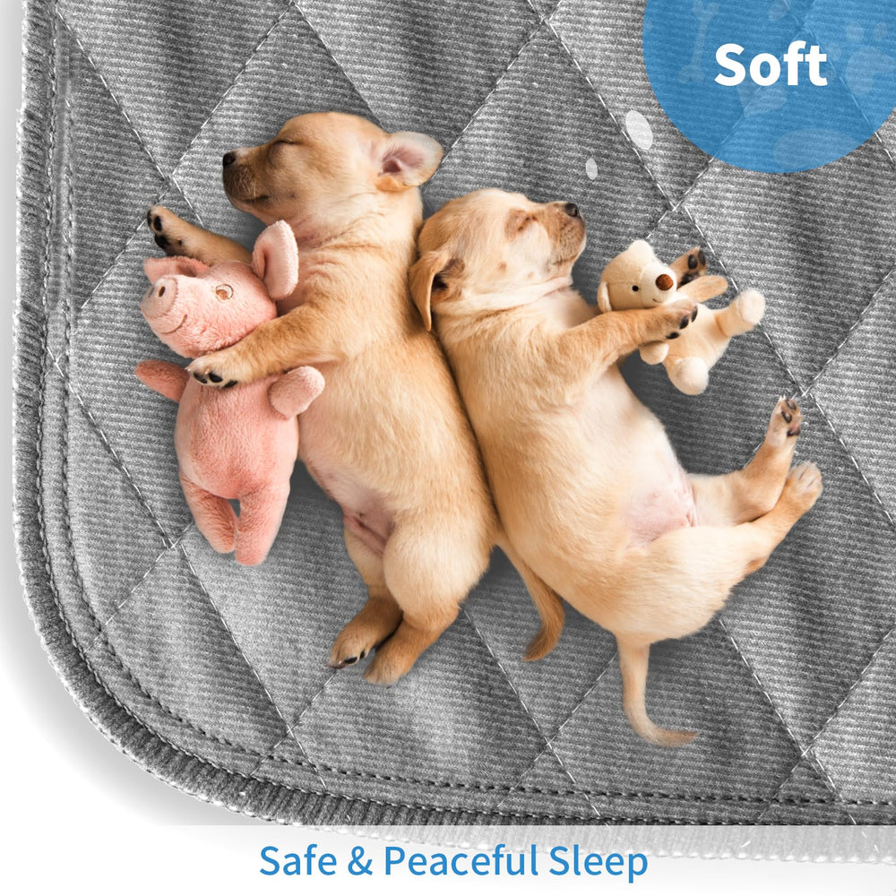 CoolShields wide coverage pad in crate shows safer, comfortable space for puppies