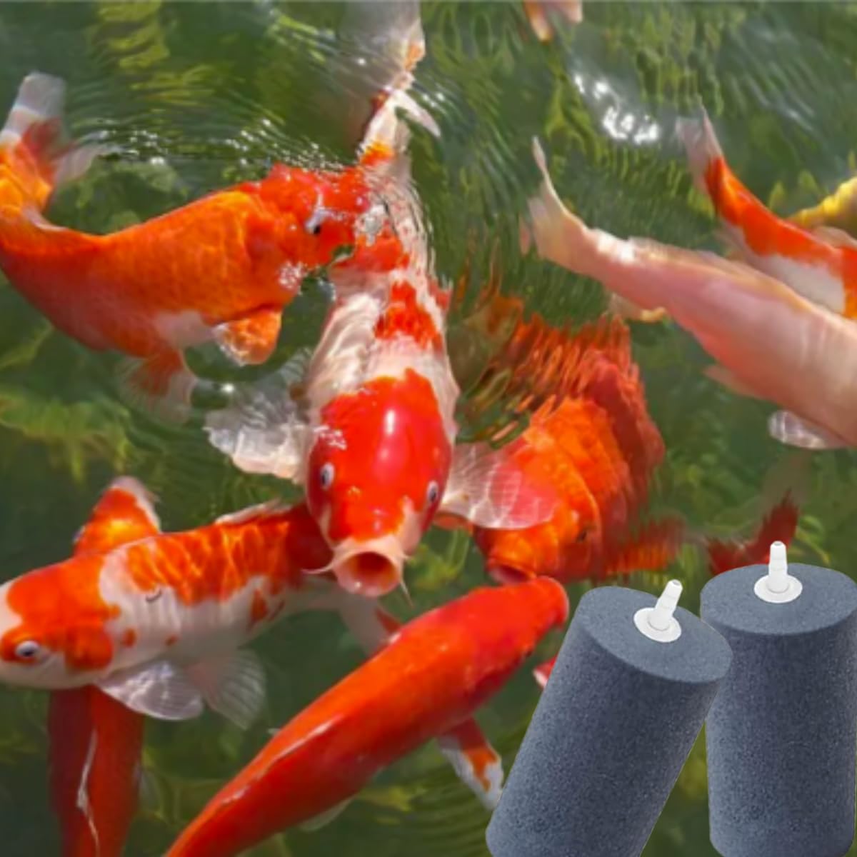 COOMATEC six-pack aerator stones support versatile setups in aquarium, hydroponics, ponds.