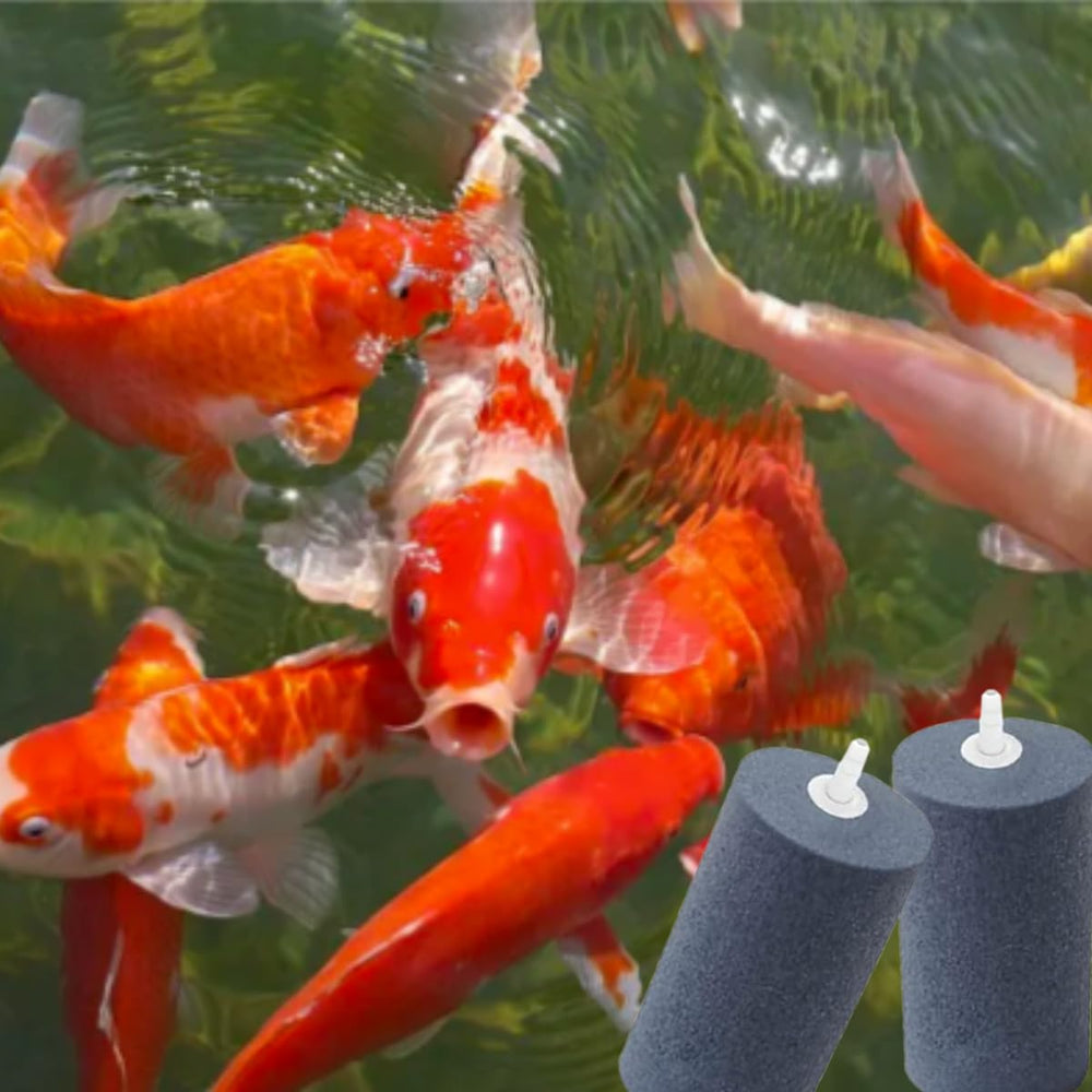 COOMATEC six-pack aerator stones support versatile setups in aquarium, hydroponics, ponds.