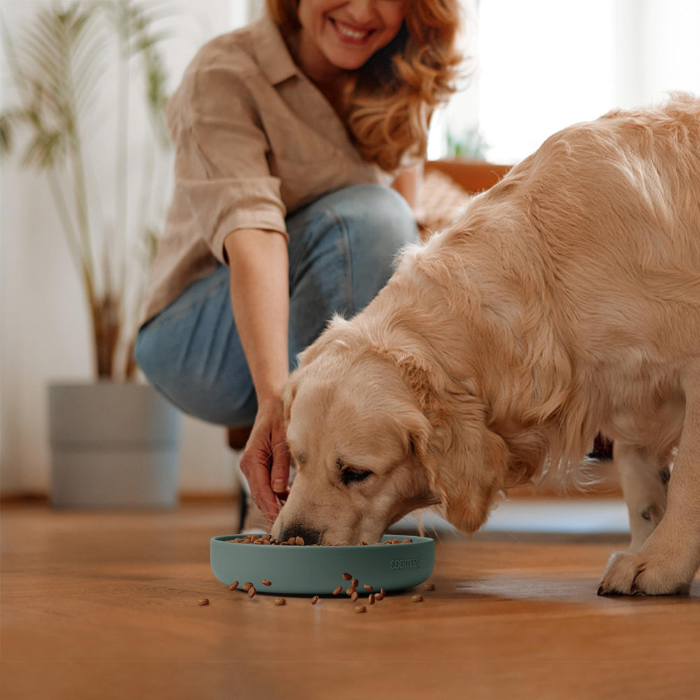 Coomazy multi-size option shown suitable for different breeds