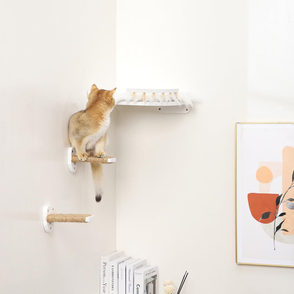 COOLEX indoor exercise area invites cats to stay active