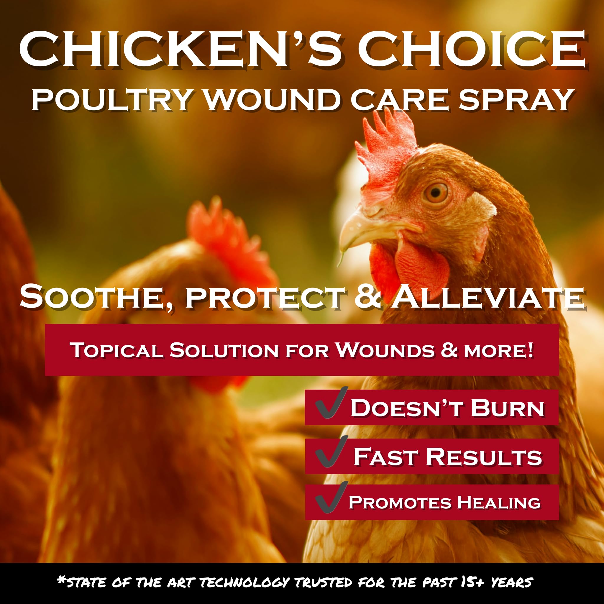 Chickens treated for bumblefoot with Chicken's Choice spray on the affected foot.