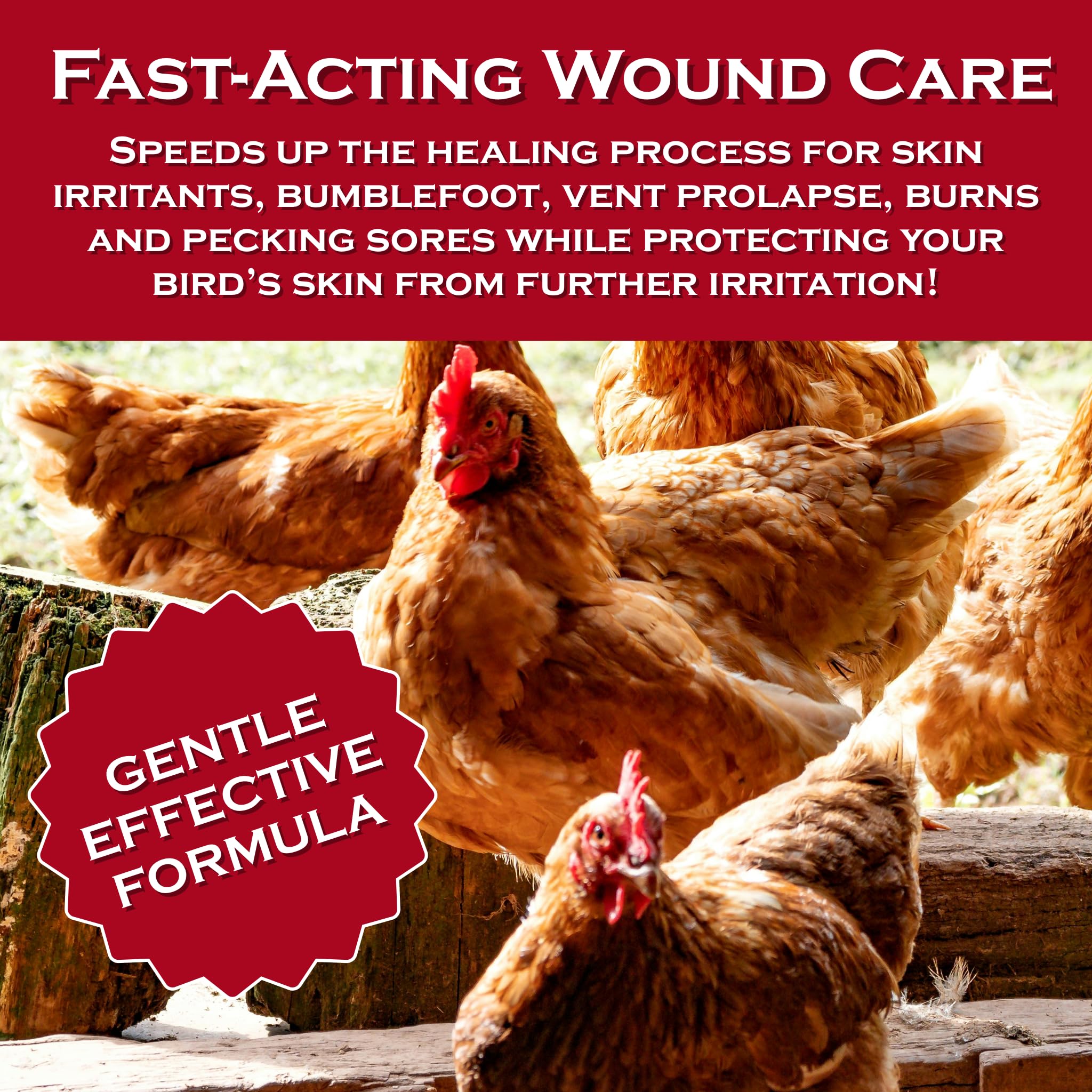 Burns and skin irritation treated with Chicken's Choice spray for poultry.
