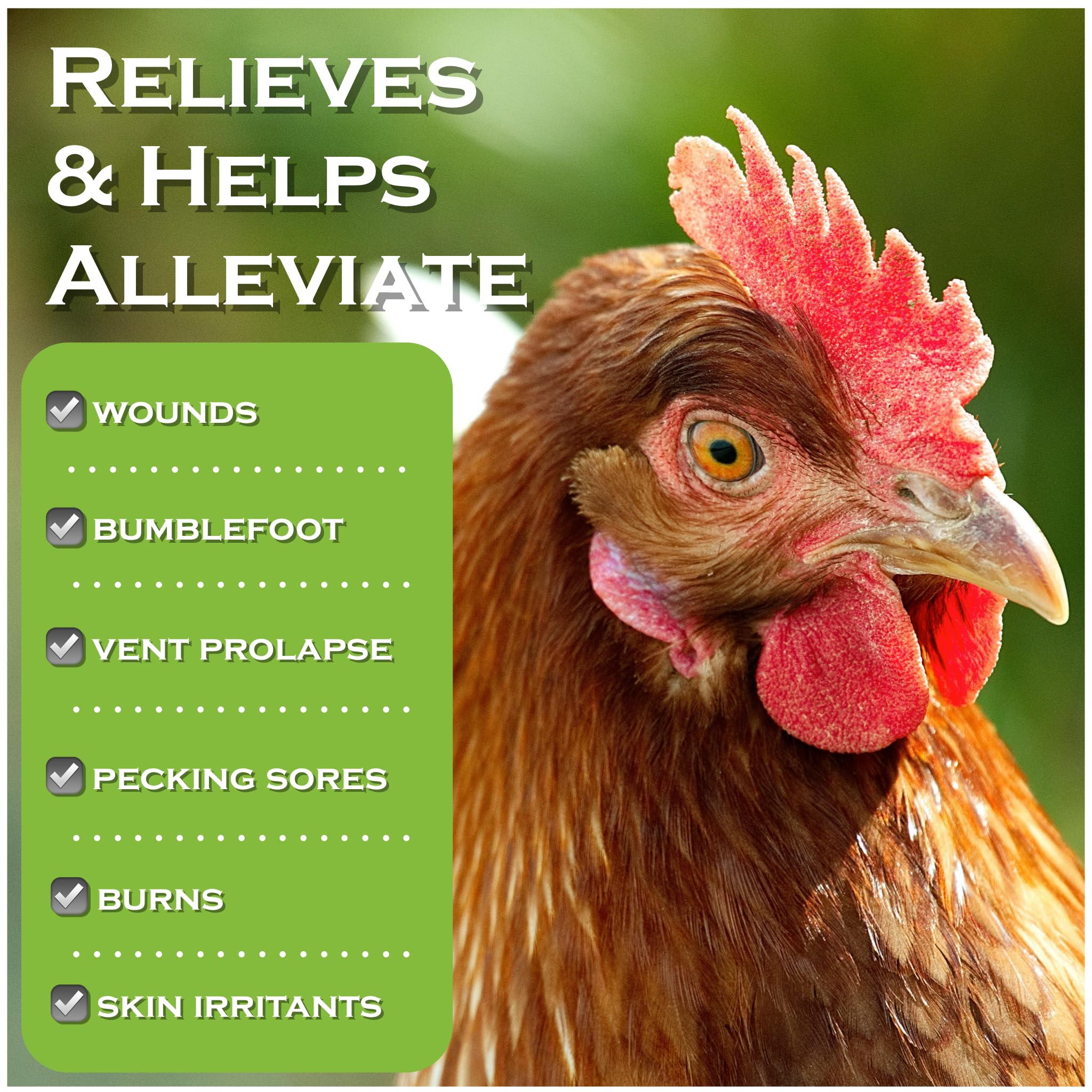 Coop Care Chicken's Choice sprayed on a chicken foot to cleanse a wound.
