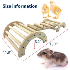 CooShou Chicken Perch Arch Ladder, small pet exercise in natural setup.