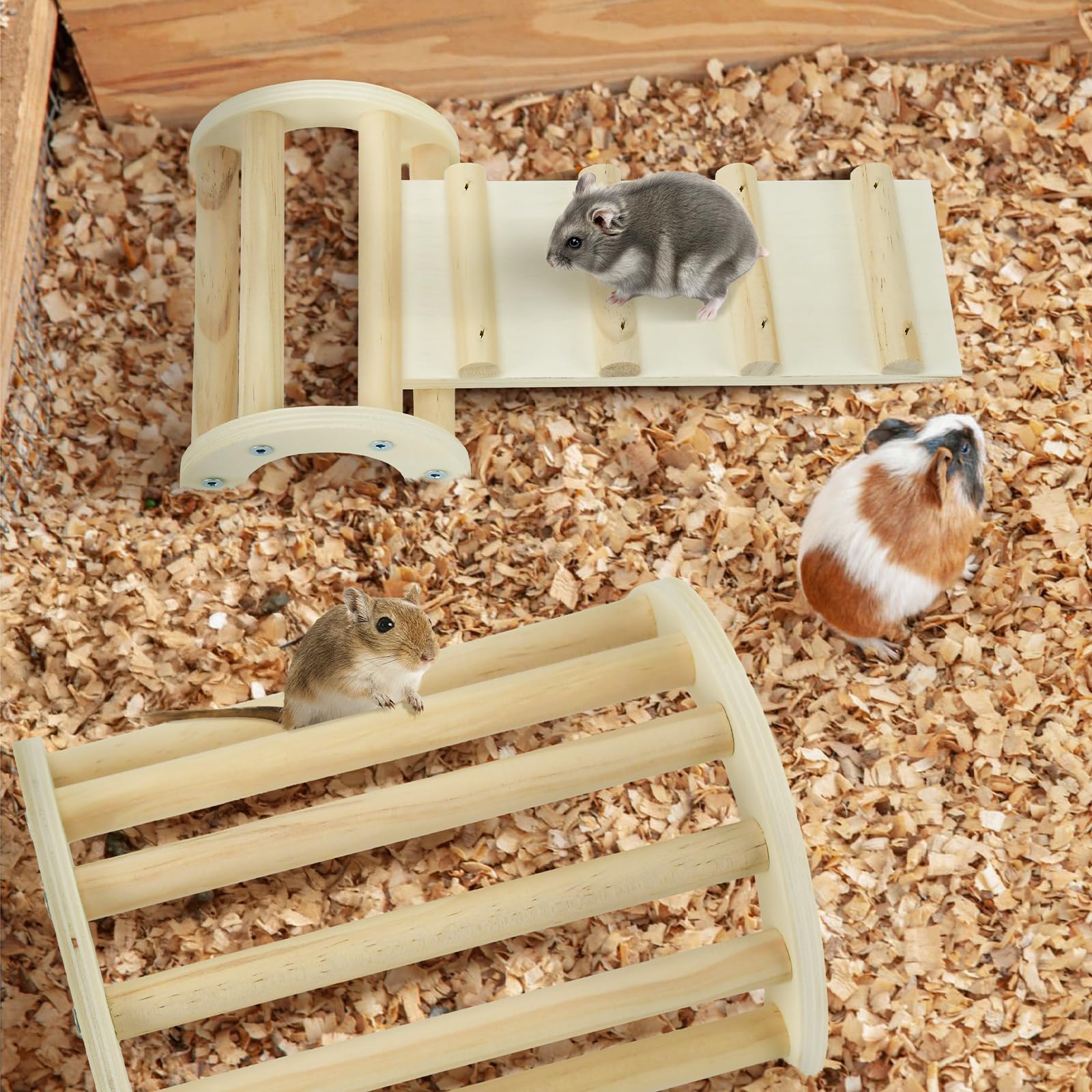 CooShou Four round sticks add playful challenge for rodents.