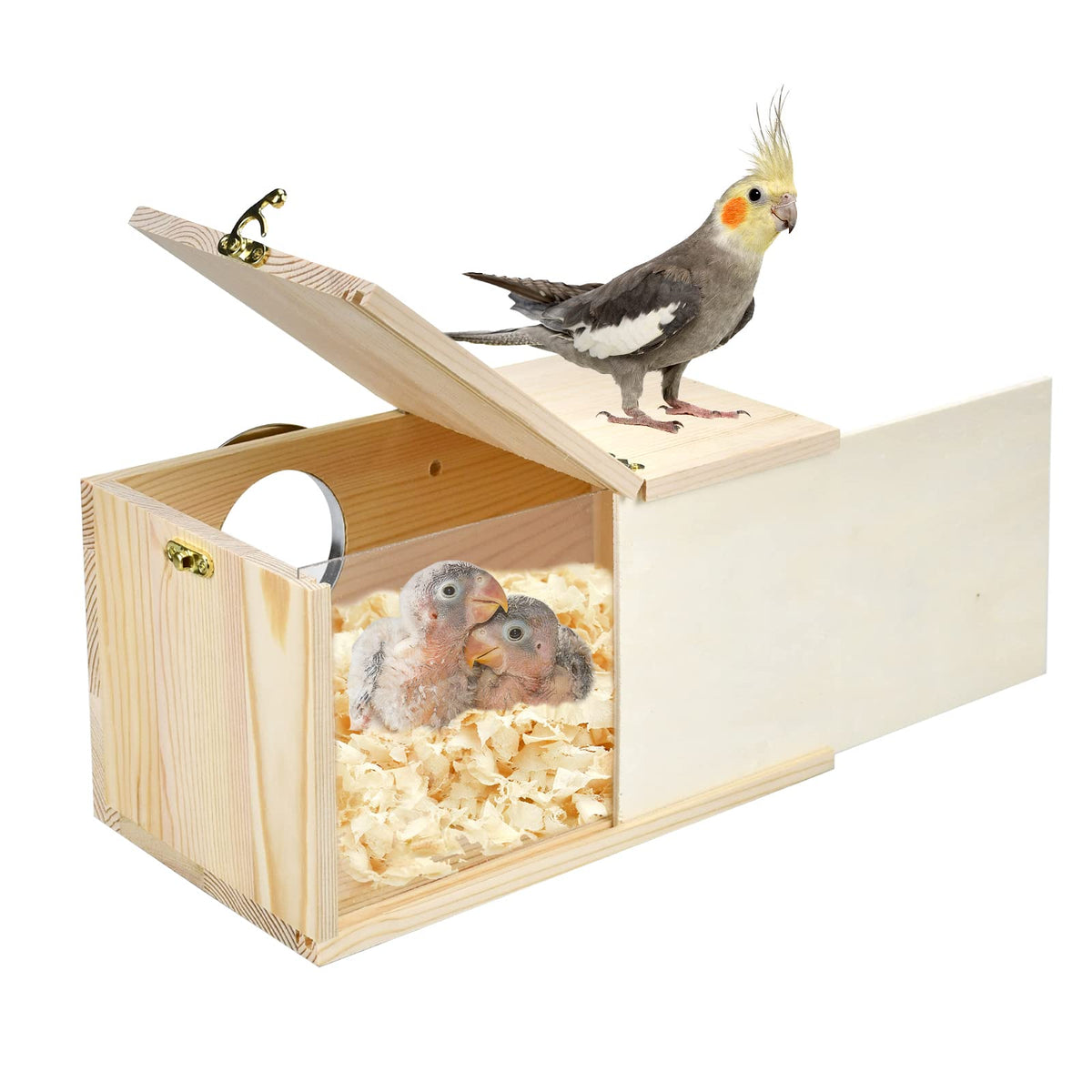 CooShou parakeet nesting box front view for easy inspection of nesting
