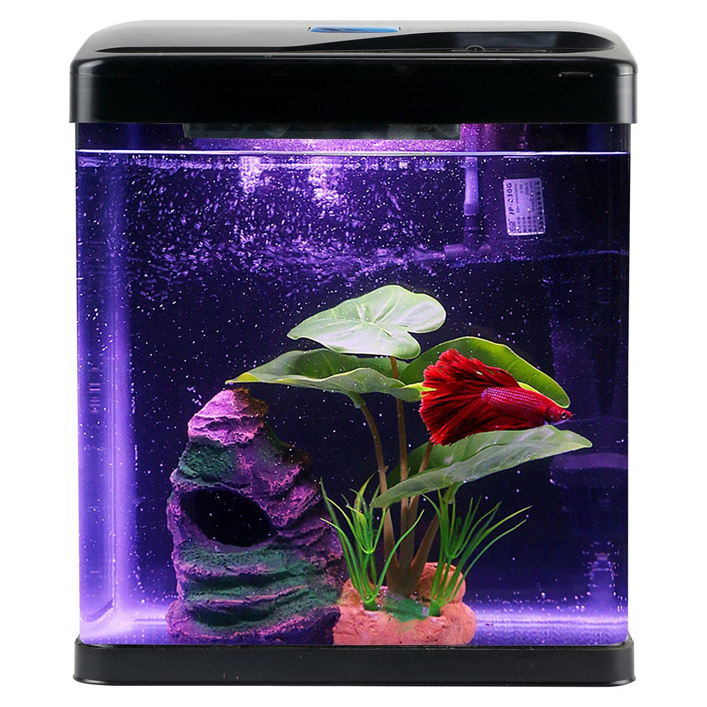 COOSPIDER Betta Tank 2gal glass—compact desktop display for small spaces.