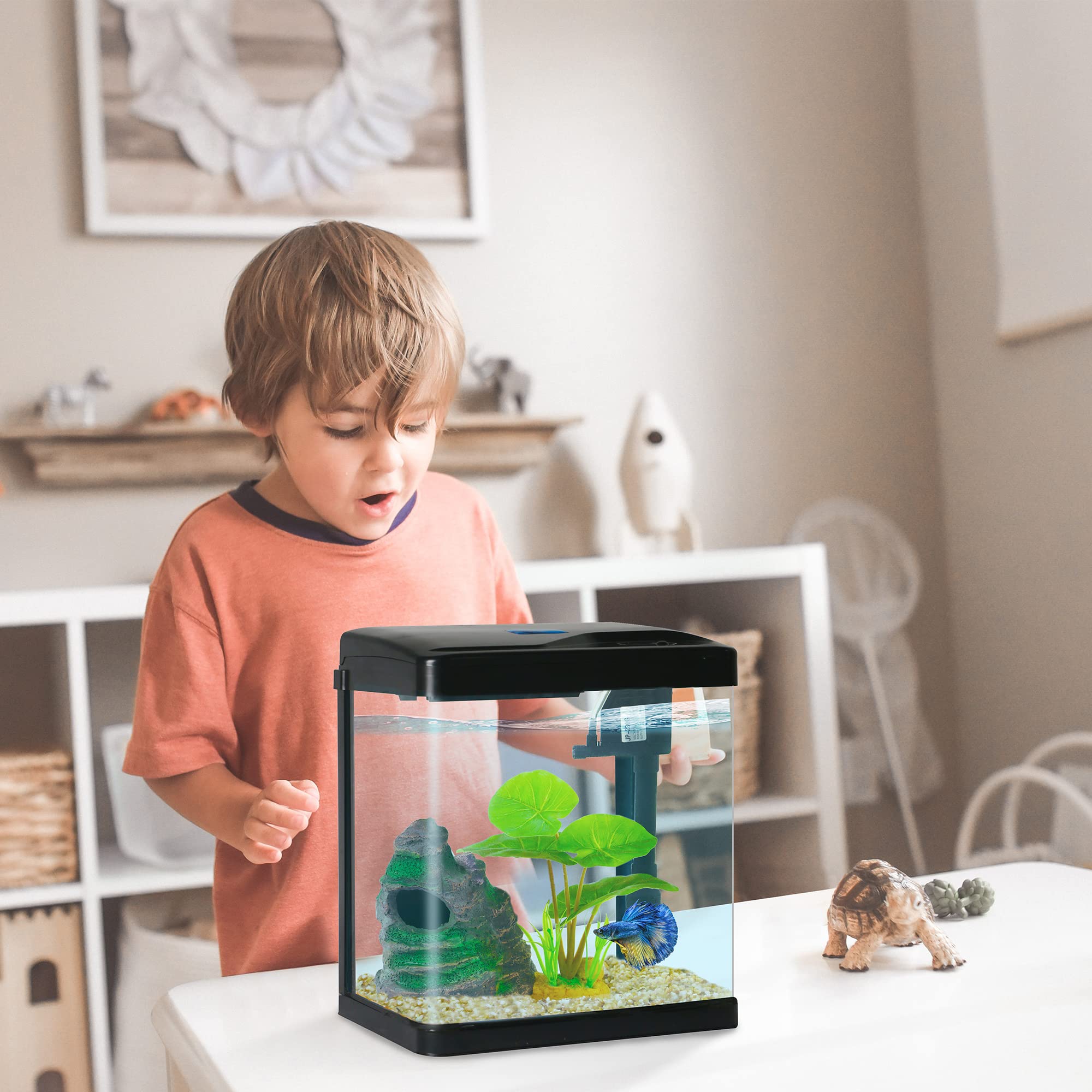 COOSPIDER Betta Tank front-rounded glass for safe handling and easy cleaning.