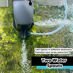 COOSPIDER double filtration combines sponge and UV stages for cleaner water.