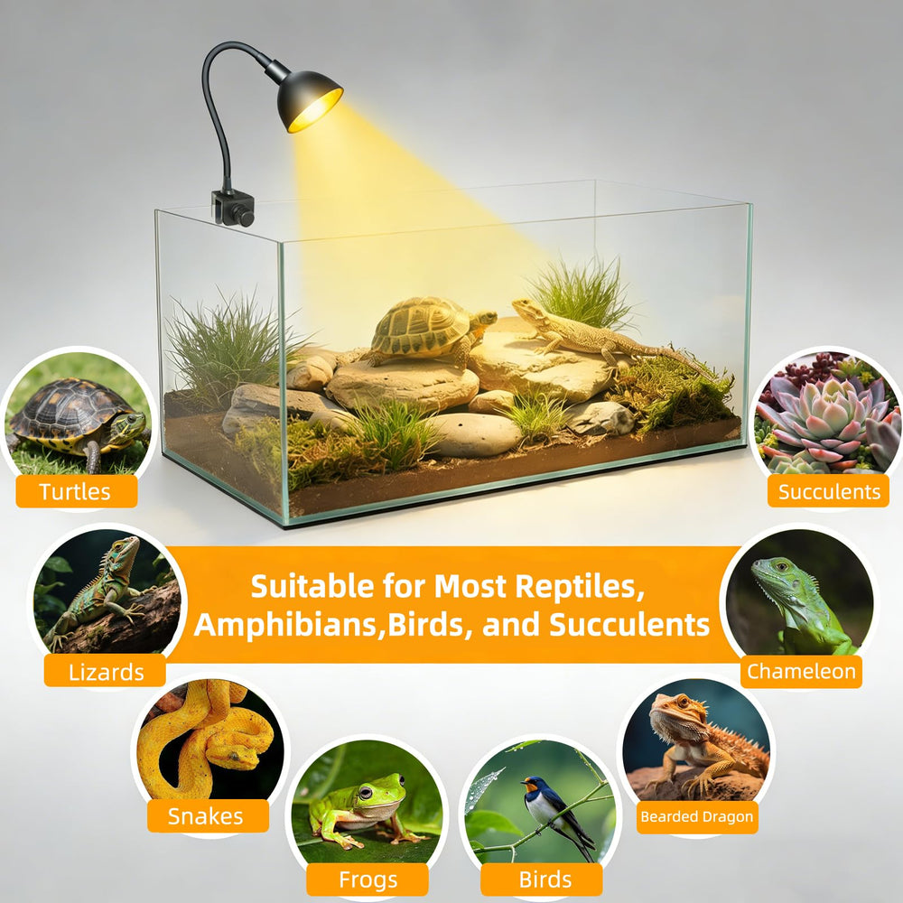 COOSPIDER 50W warmth helps pets stay active during the day.