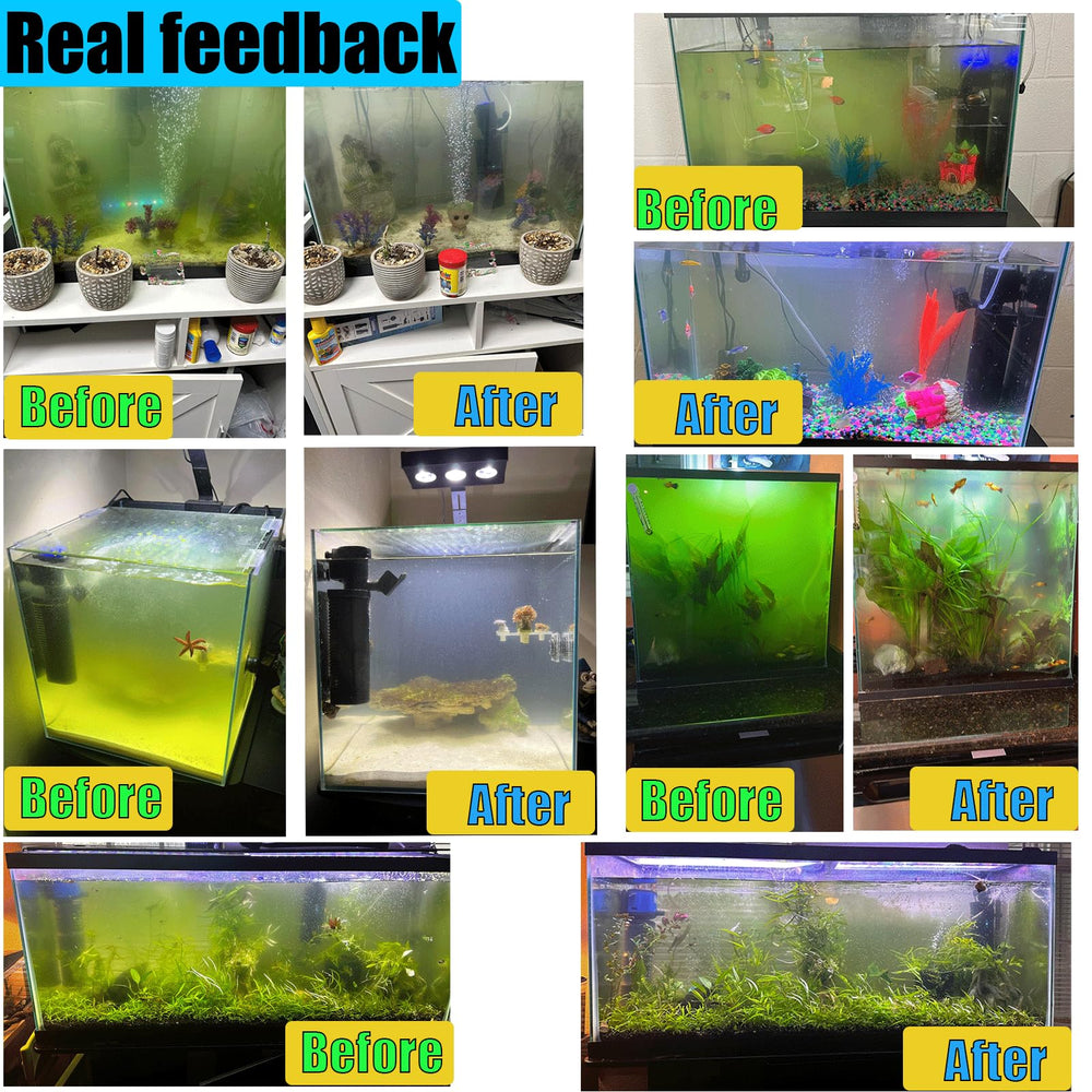 coospider-repta deodorization feature reduces odors when algae bloom.