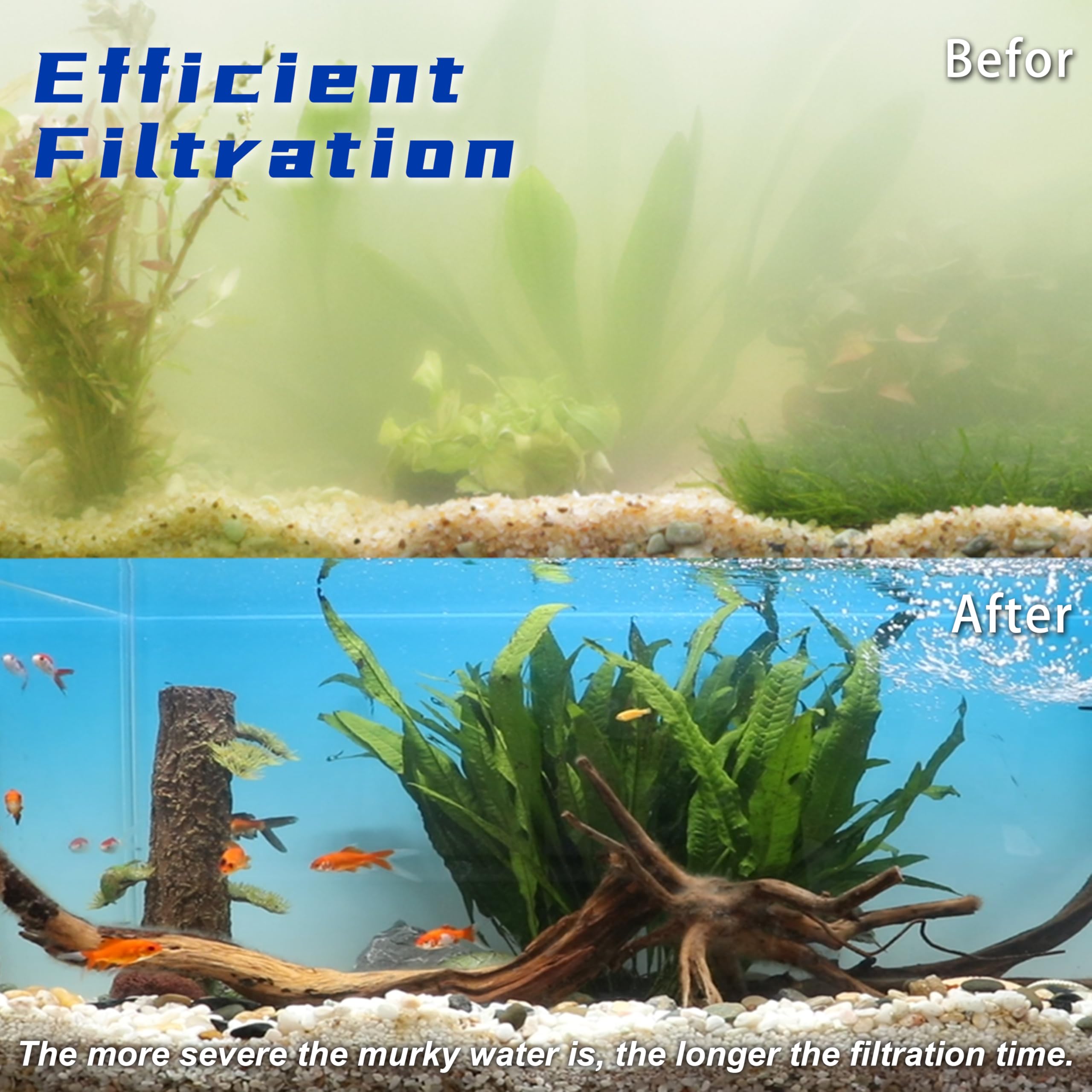 Coospider-Repta odor-control filtration for clearer tank water.